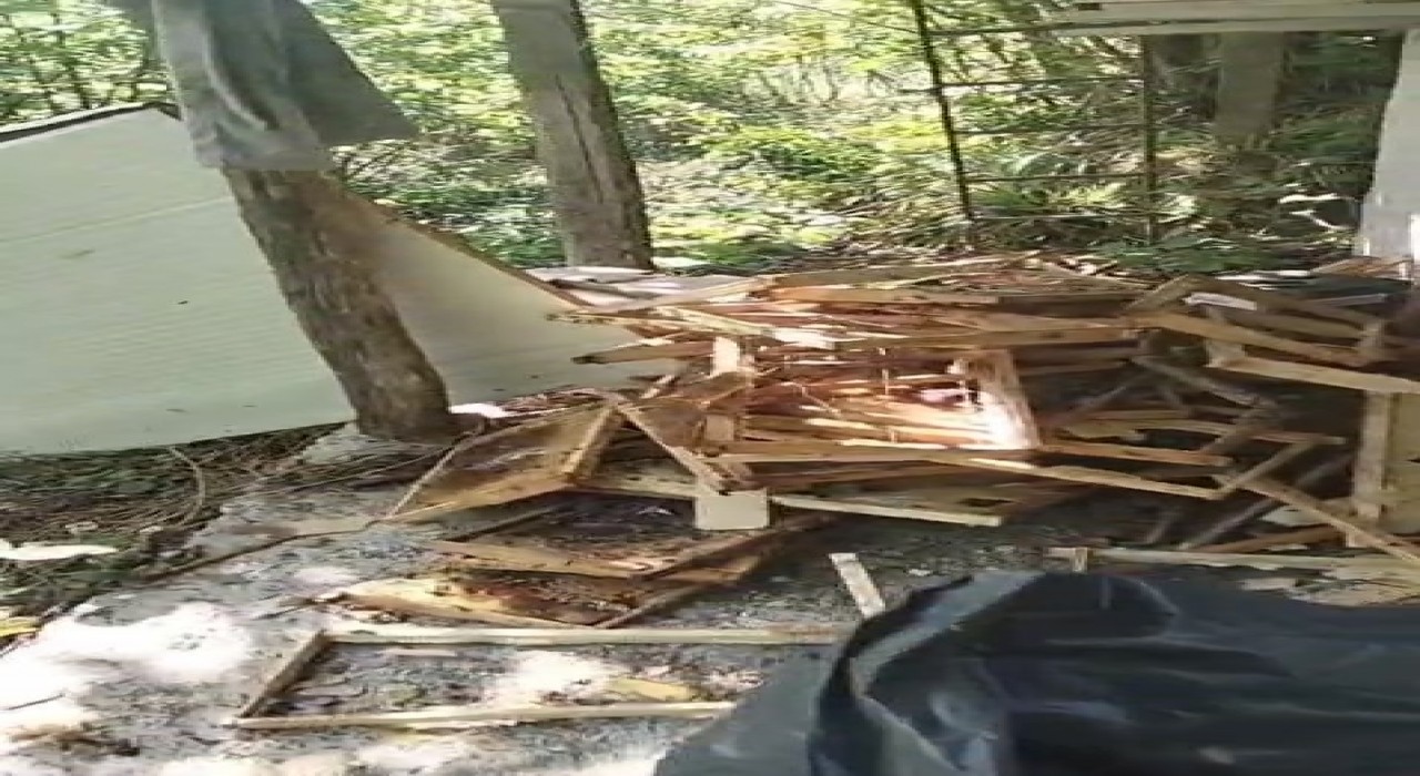 Rizede ayı soğuk hava deposuna saldırdı