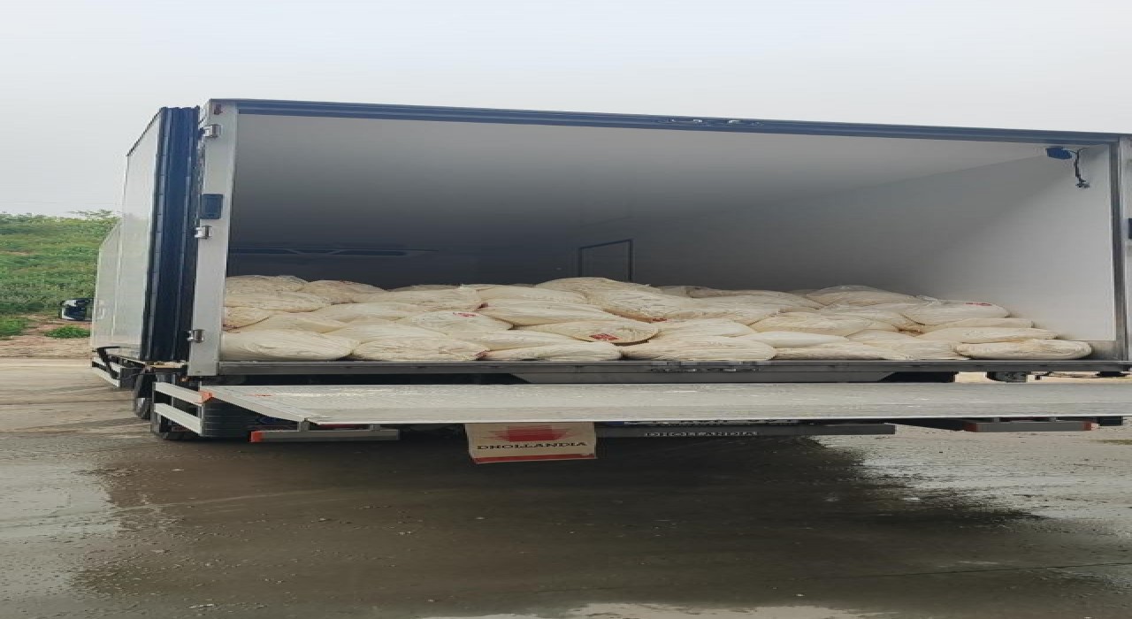 Sakaryada son kullanma tarihi geçmiş 23 ton lor peyniri ele geçirildi