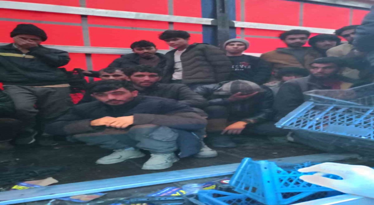 Sakaryada tır dolusu düzensiz göçmen yakalandı: Sürücü tutuklandı
