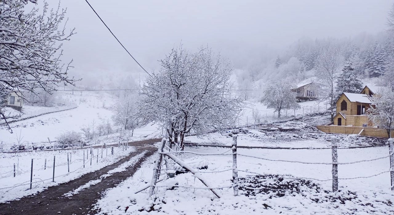 Sakaryanın yüksek kesimlerinde kar etkili oluyor