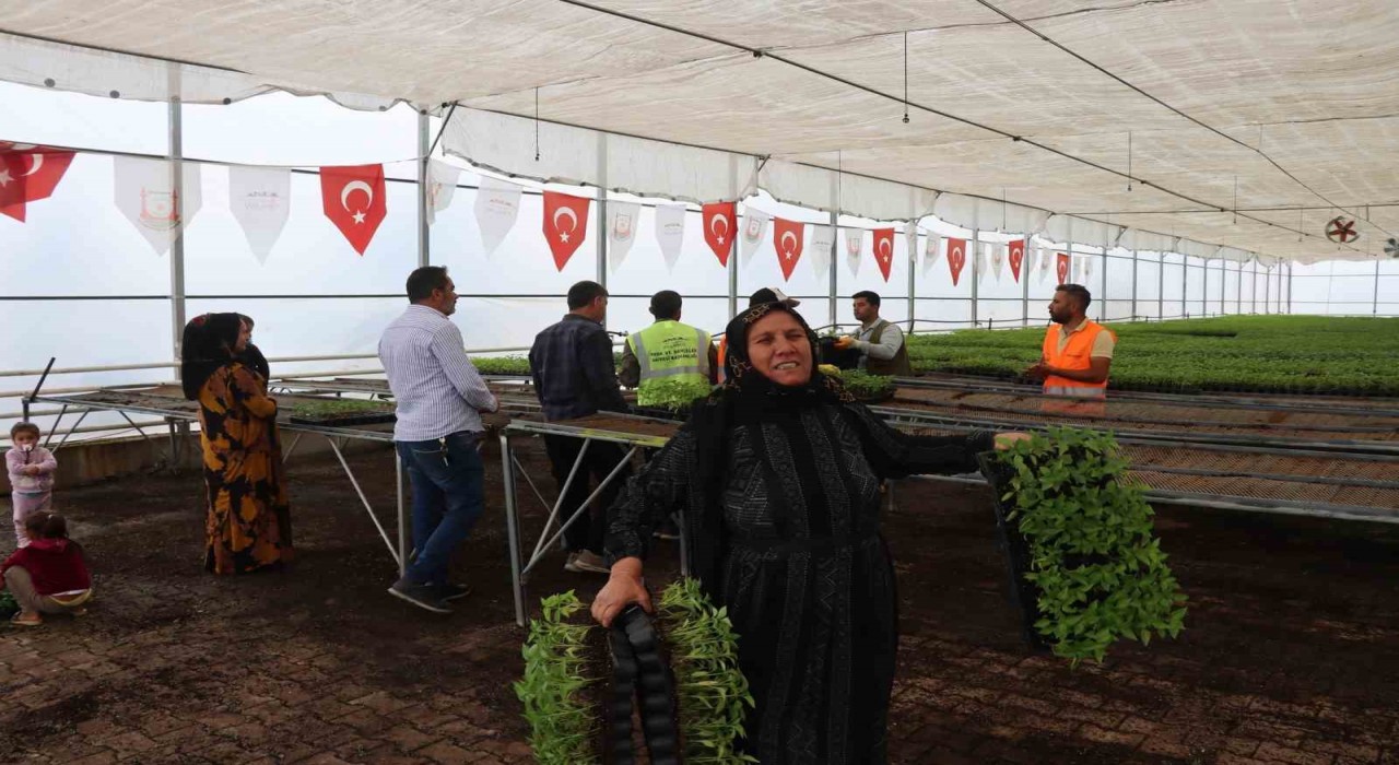 Şanlıurfa bu sene de acıya doyacak