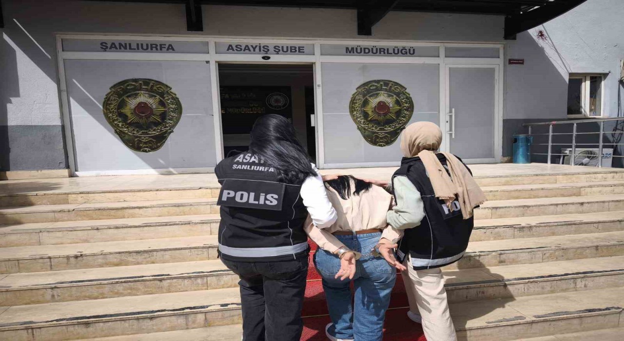 Şanlıurfada çeşitli suçlardan aranan 12 şahıs yakalandı