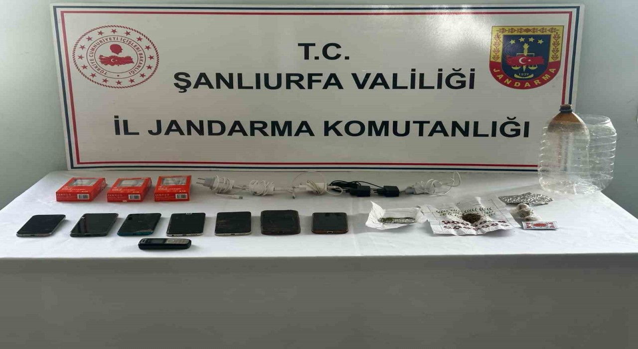 Şanlıurfada dolandırıcılık operasyonu: 5 tutuklama