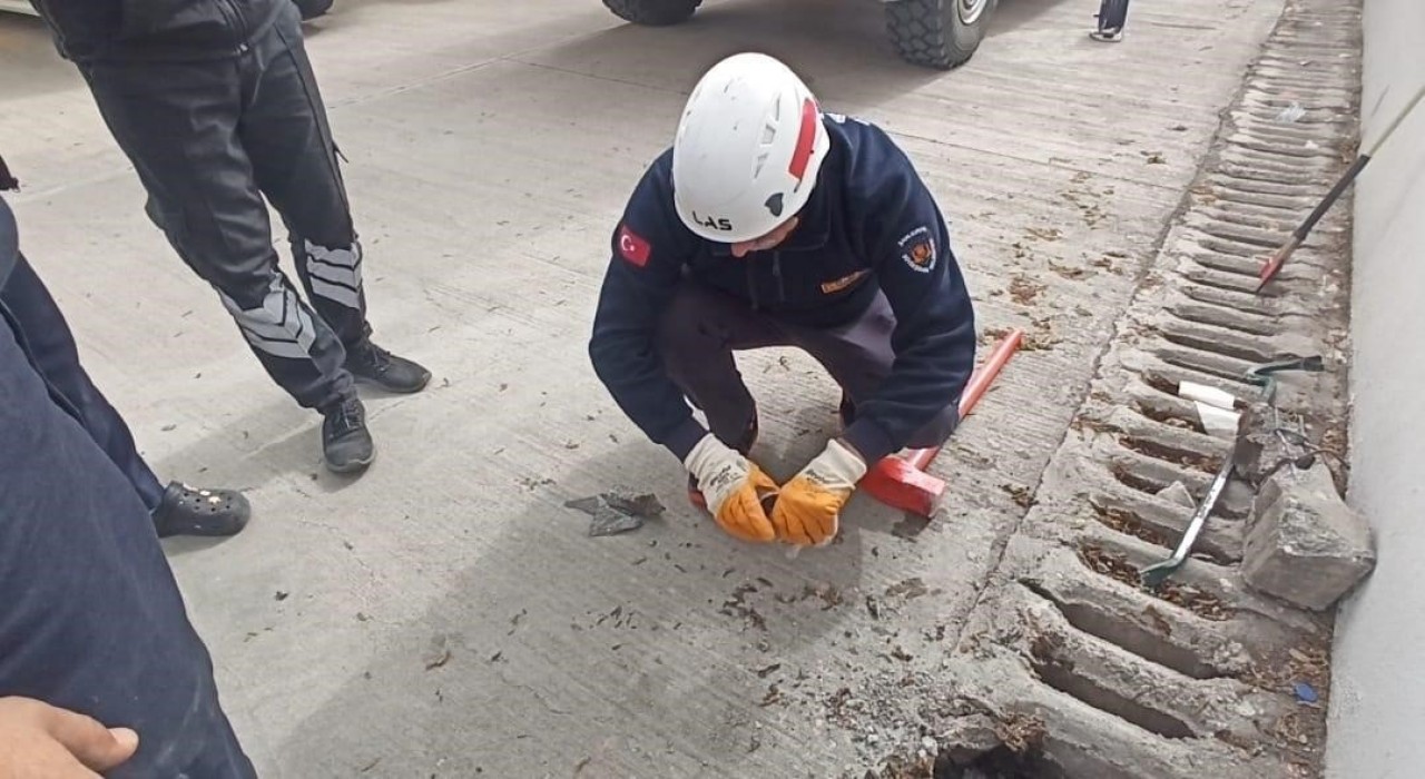 Şanlıurfada mazgala düşen yavru kedi kurtarıldı