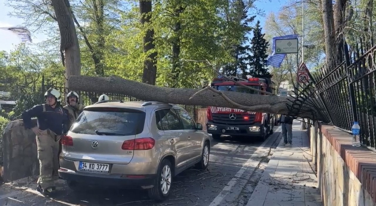 Sarıyerde şiddetli rüzgarda ağaç otomobilin üzerine devrildi