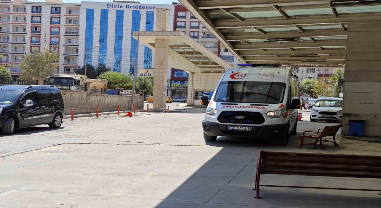 Siirtte atın ısırdığı çocuk ağır yaralandı