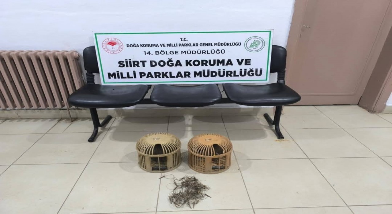 Siirtte keklik avına 111 bin 855 lira ceza