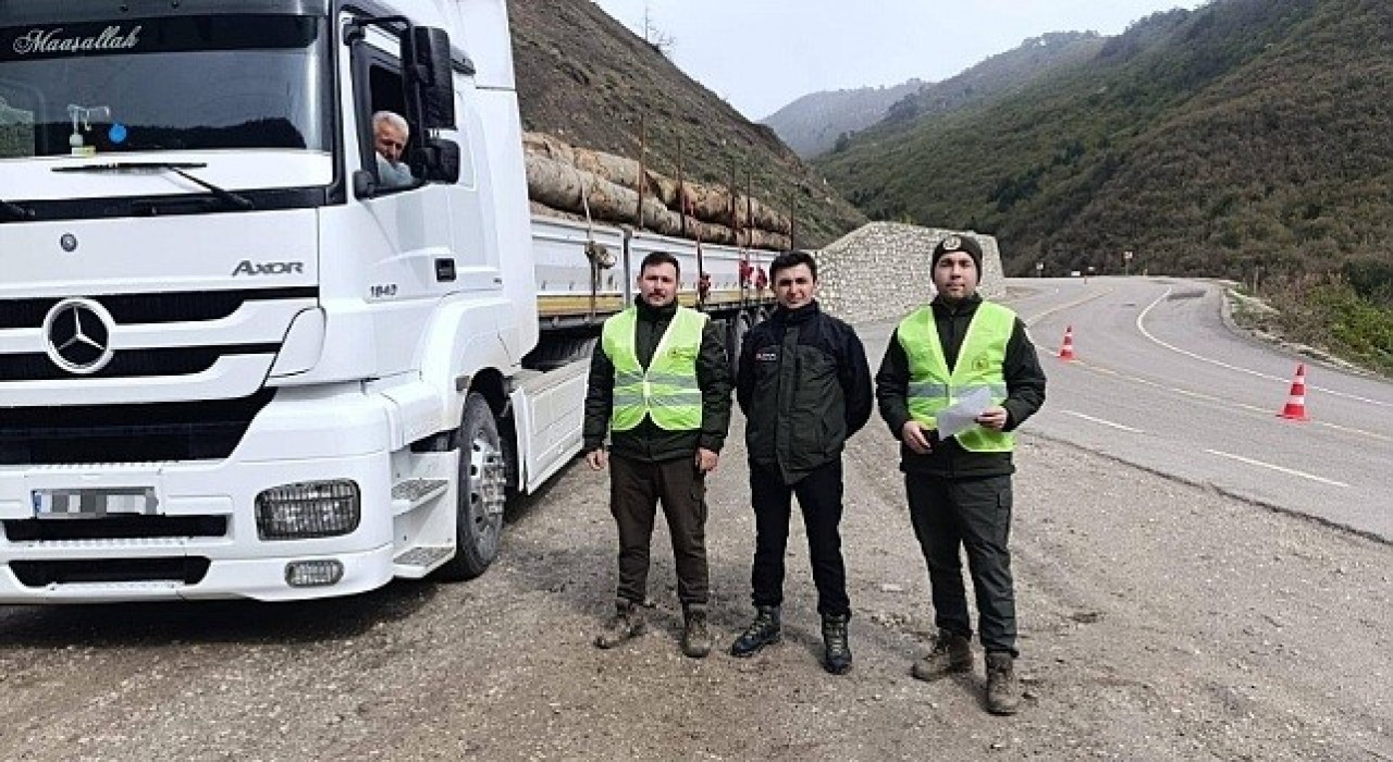 Sinopta orman kaçakçılığına karşı denetim