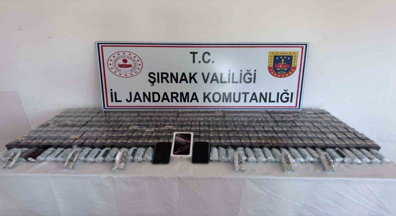 Şırnakta jandarma ekipleri bir milyon TLlik kaçakçılığı önledi