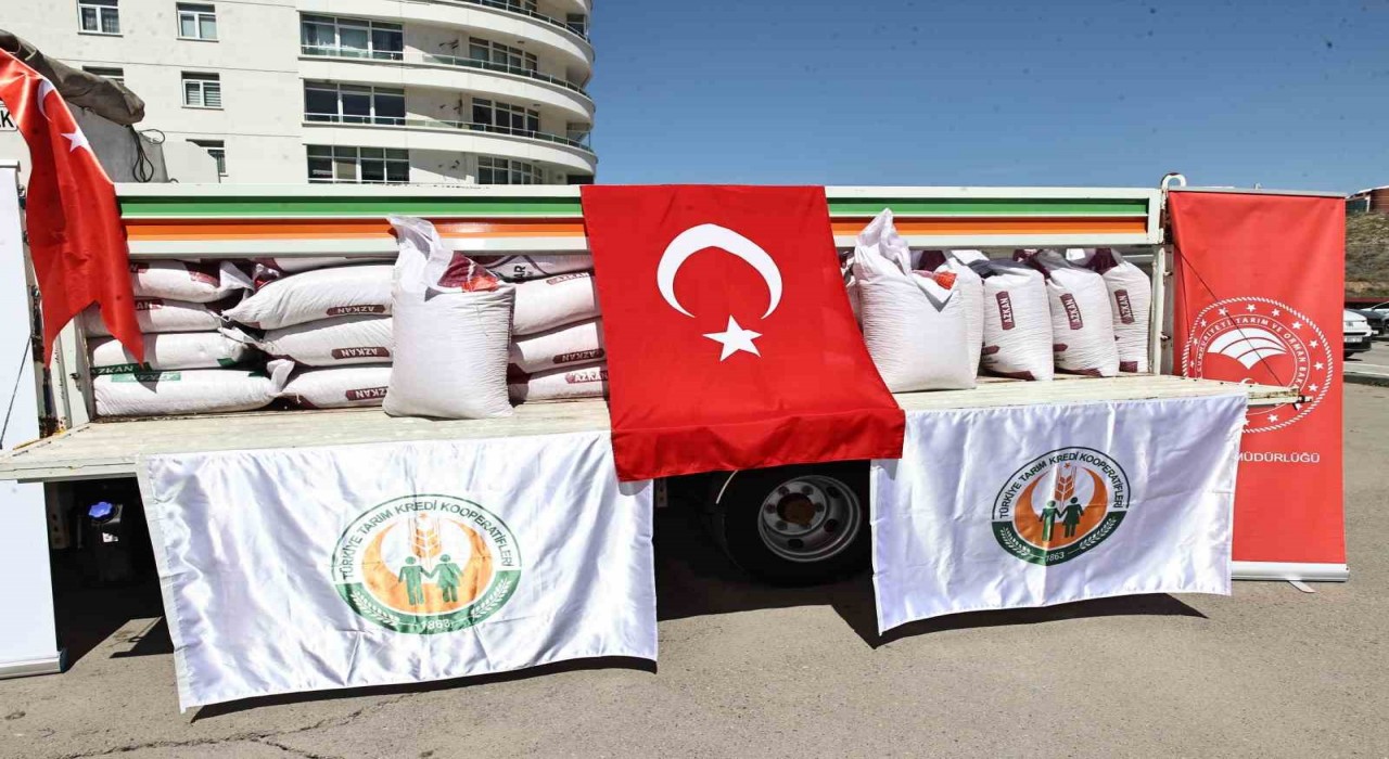 Sivasta çiftçilere 285 ton nohut tohumu dağıtıldı