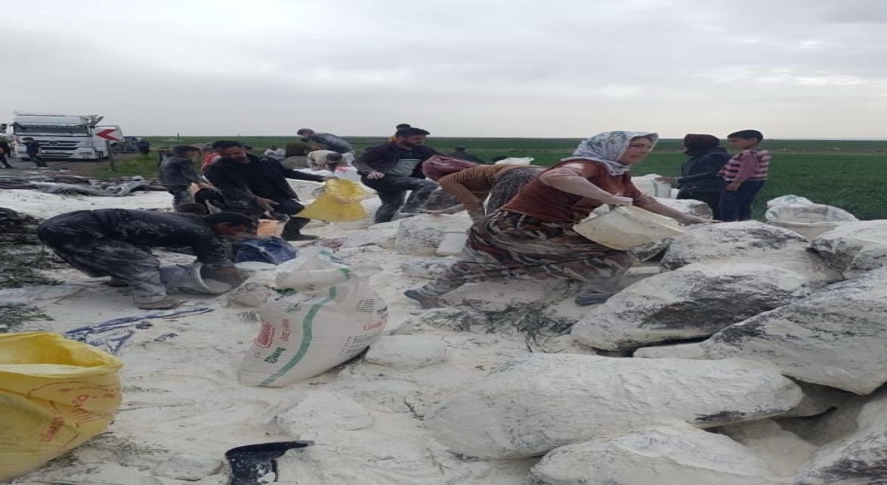 Siverekte un yüklü tır devrildi: Çevreye saçılan unu vatandaşlar topladı