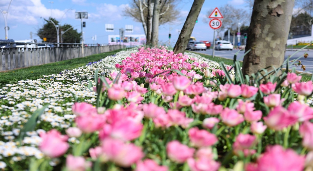Sultangazinin cadde ve sokaklarına bahar geldi