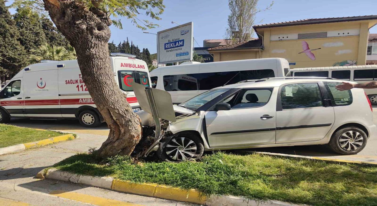 Tansiyonu düşen sürücü, yayalara çarpmamak için ağaca çarptı