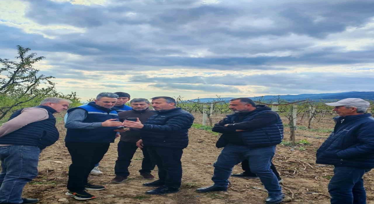 Tarım alanlarındaki zirai don hasarı inceleniyor
