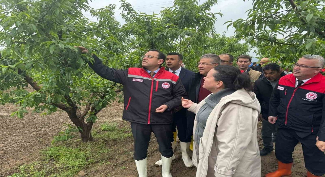 Tarım ve Orman Bakan Yardımcısı Gizligider, Denizlide zirai dondan etkilenen tarımsal alanları inceledi