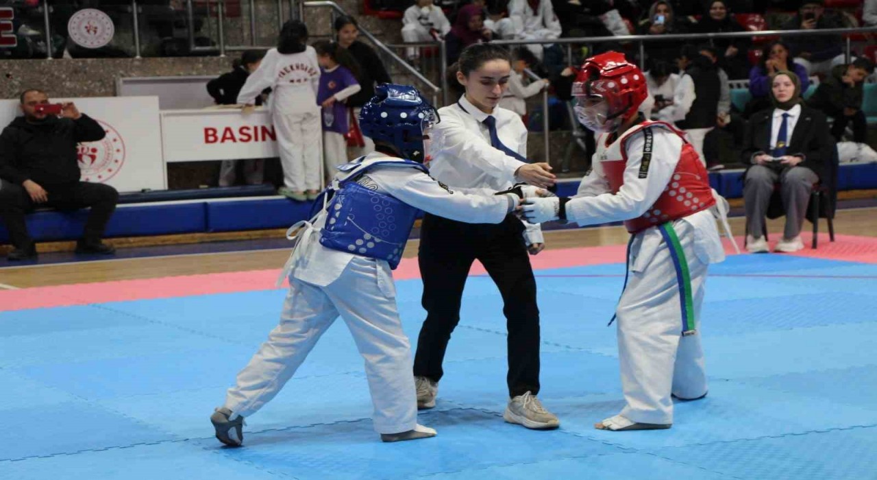 TBMM kupası Düzcede yapıldı