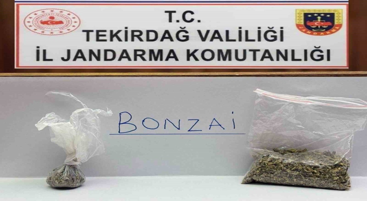 Tekirdağda jandarma yol ve mahalle denetimlerinde bonzai ele geçirdi