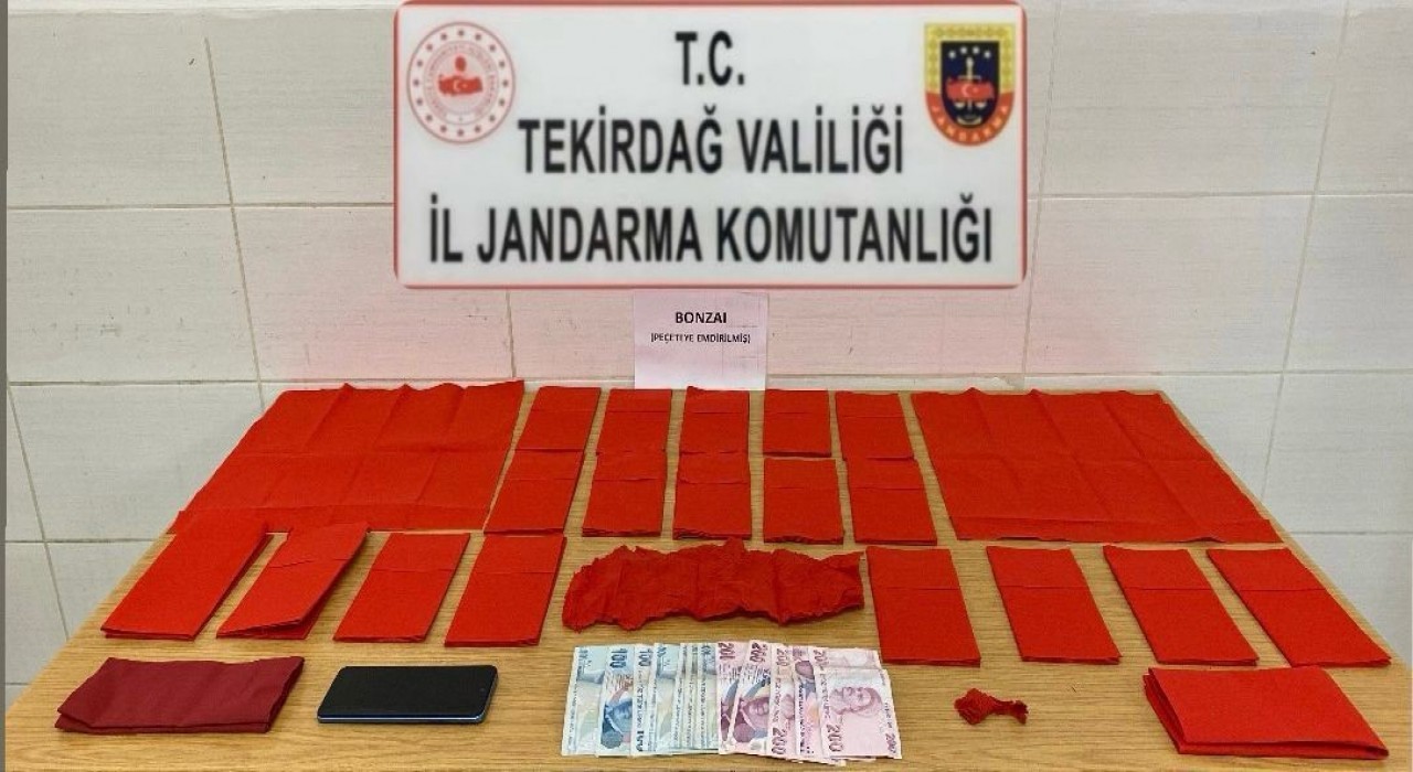 Tekirdağda peçeteye emdirilmiş halde uyuşturucu ele geçirildi: 1 tutuklama