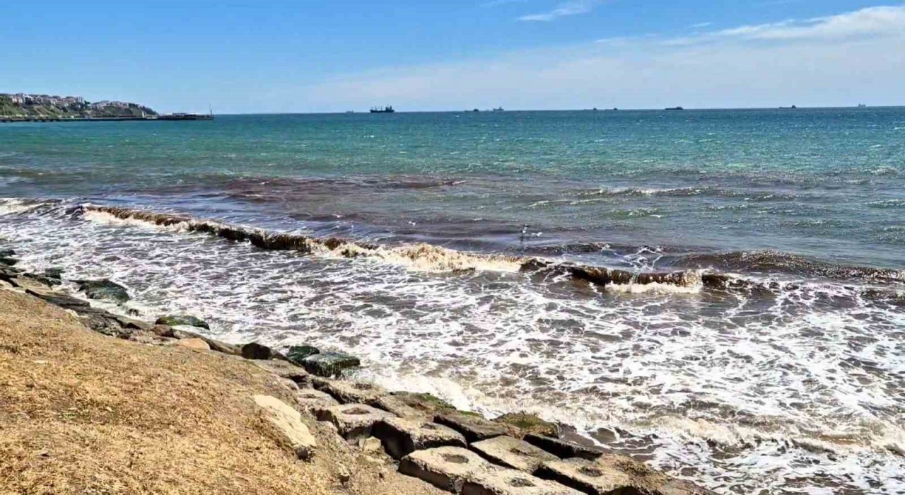 Tekirdağda poyraz sonrası deniz yüzeyi kızıl yosunla kaplandı