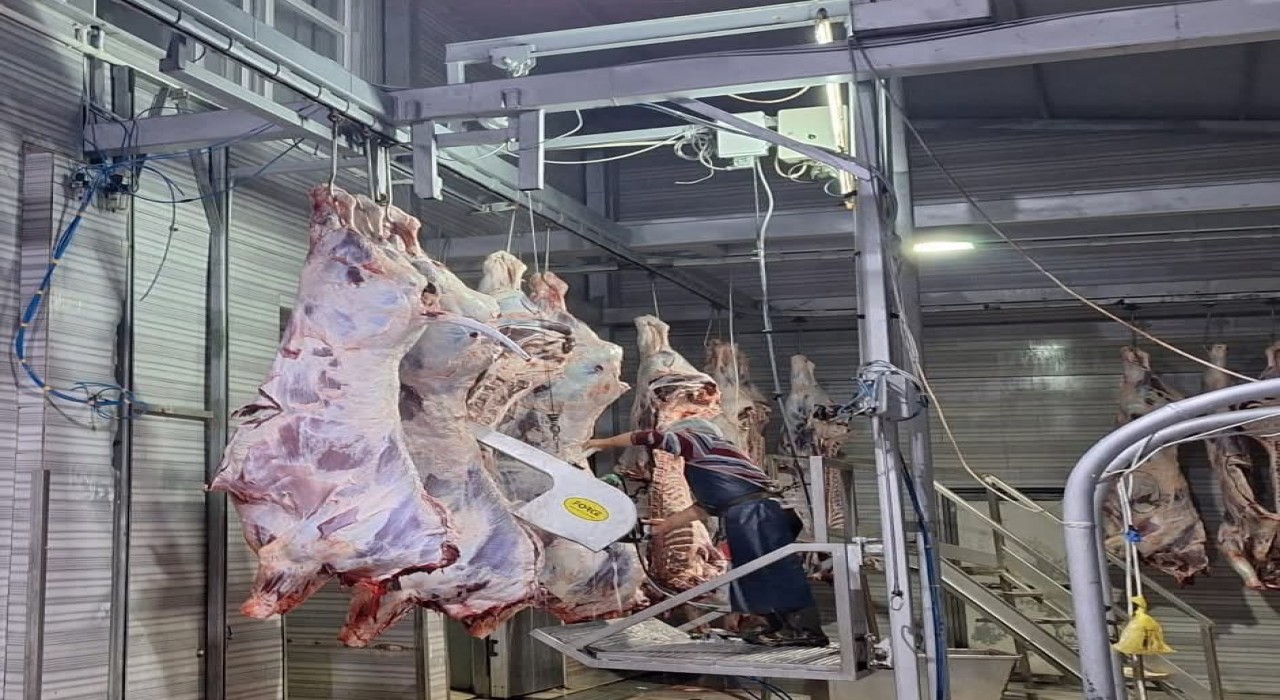 Tekirdağda yasal olmayan hayvan sevkine 105 bin ceza
