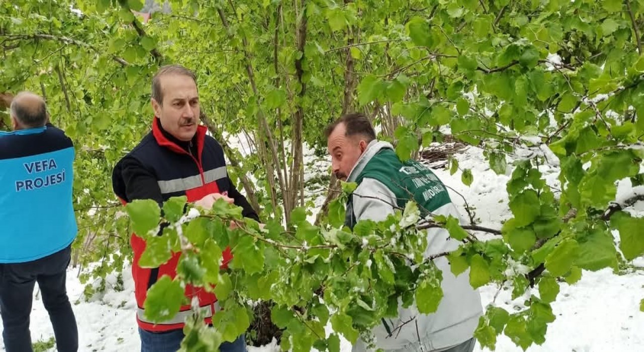 Termede hasar tespiti çalışmaları başladı