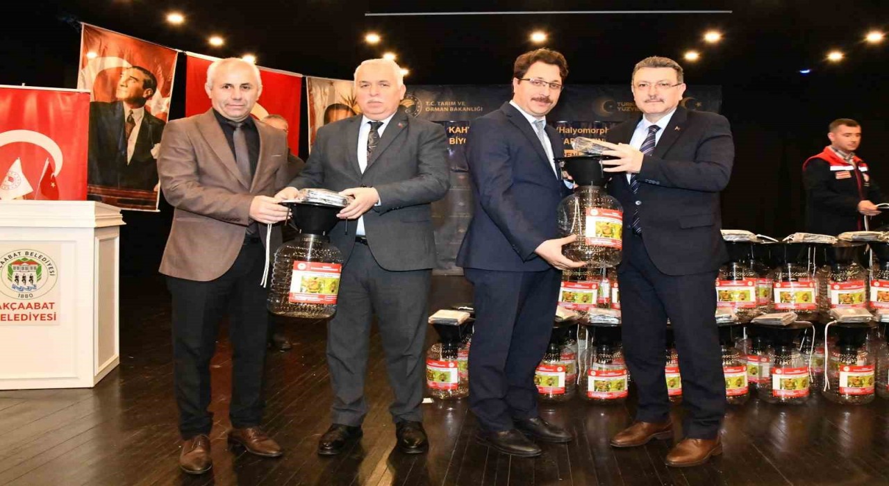 Trabzonda kahverengi kokarca için seferberlik çağrısı