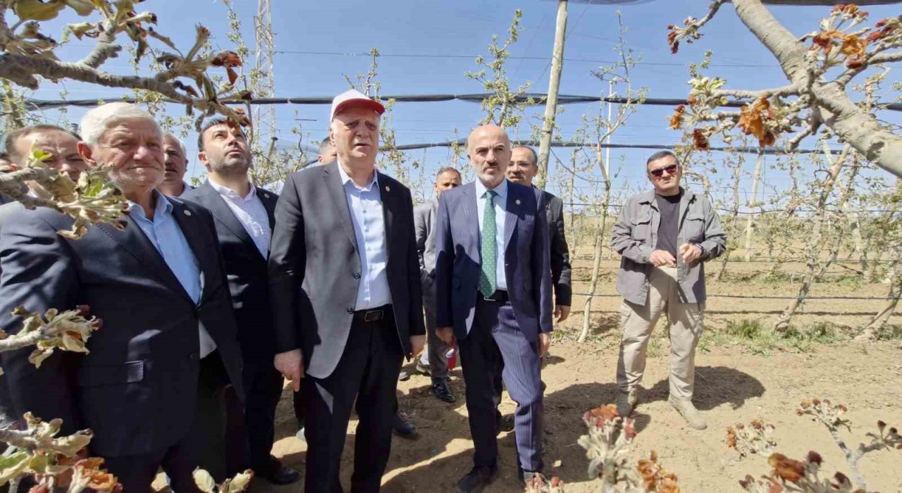 TZOB Başkanı Bayraktar: Zirai don ile büyük bir felaket yaşandı