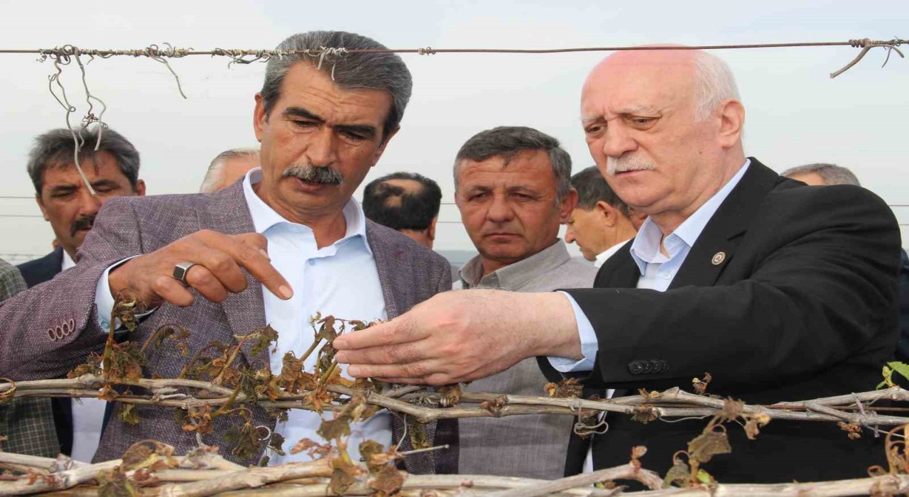 TZOB Genel Başkanı Bayraktar, Manisada don afeti sonrası bağlarda incelemelerde bulundu