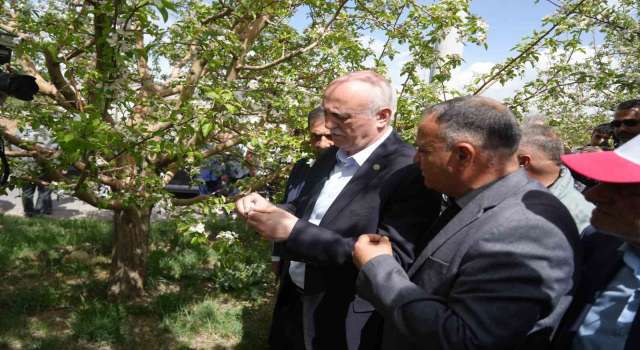 TZOB Genel Başkanı Bayraktar, Niğdede zirai don zararı gören bahçeleri inceledi