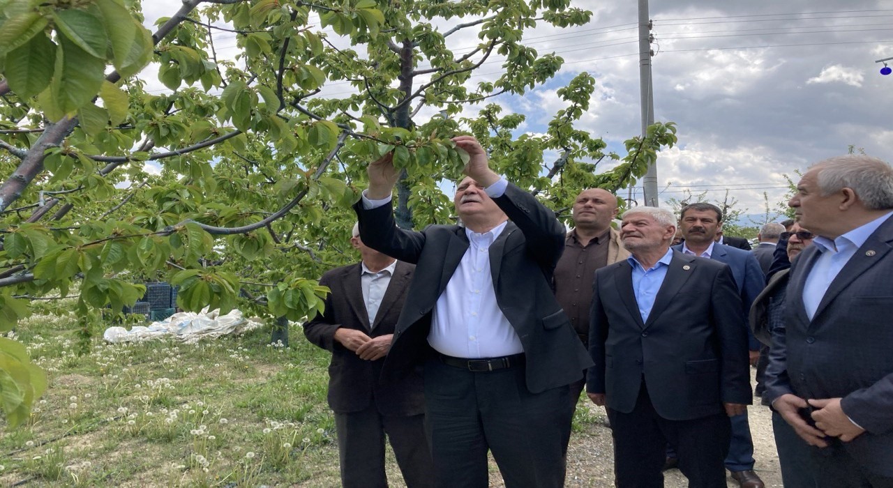TZOB Genel Başkanı Şemsi Bayraktar: 3 gün süren don olayı maalesef ürünlerimizi ve üreticimizi perişan etti