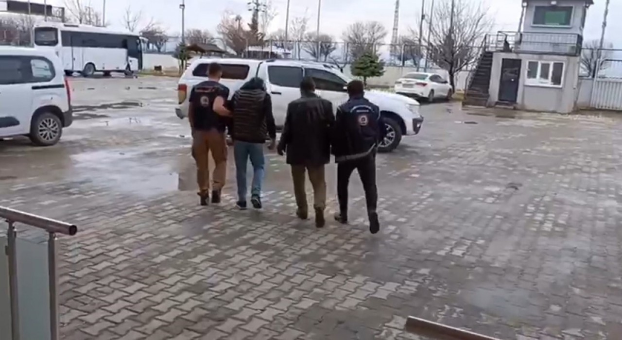 Vanda 13 organizatör tutuklandı