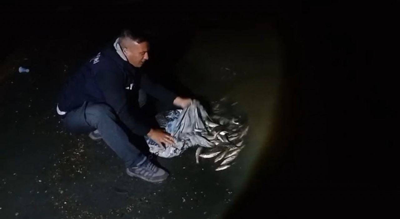 Vanda inci kefali göçü başladı: 60 kilo balığa el konuldu