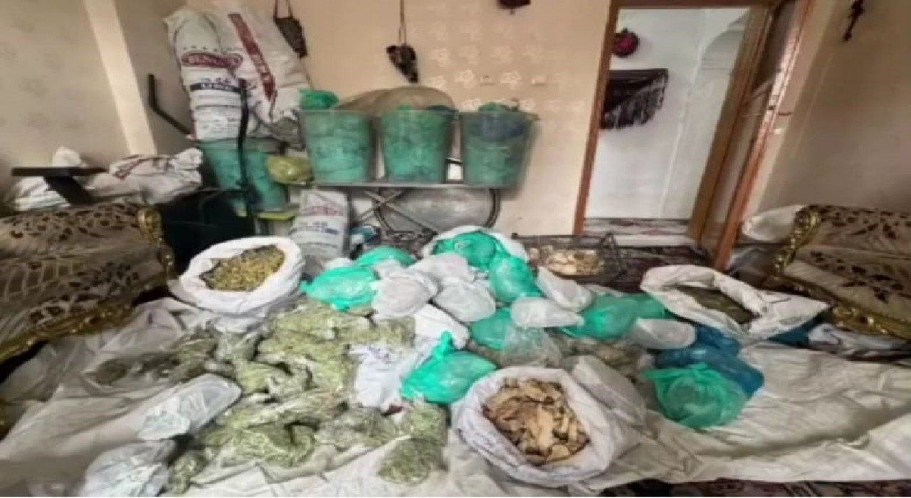 Vanda sahte belgelerle tedavi uygulayan şahıslara operasyon
