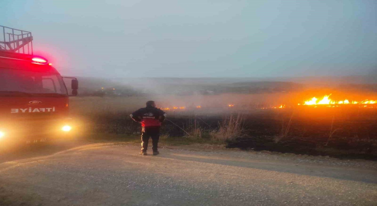 Vanda sazlık alanda yangın