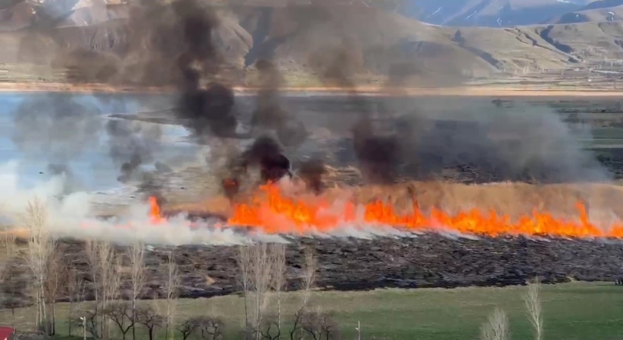 Vanda sazlıklar tehlikede