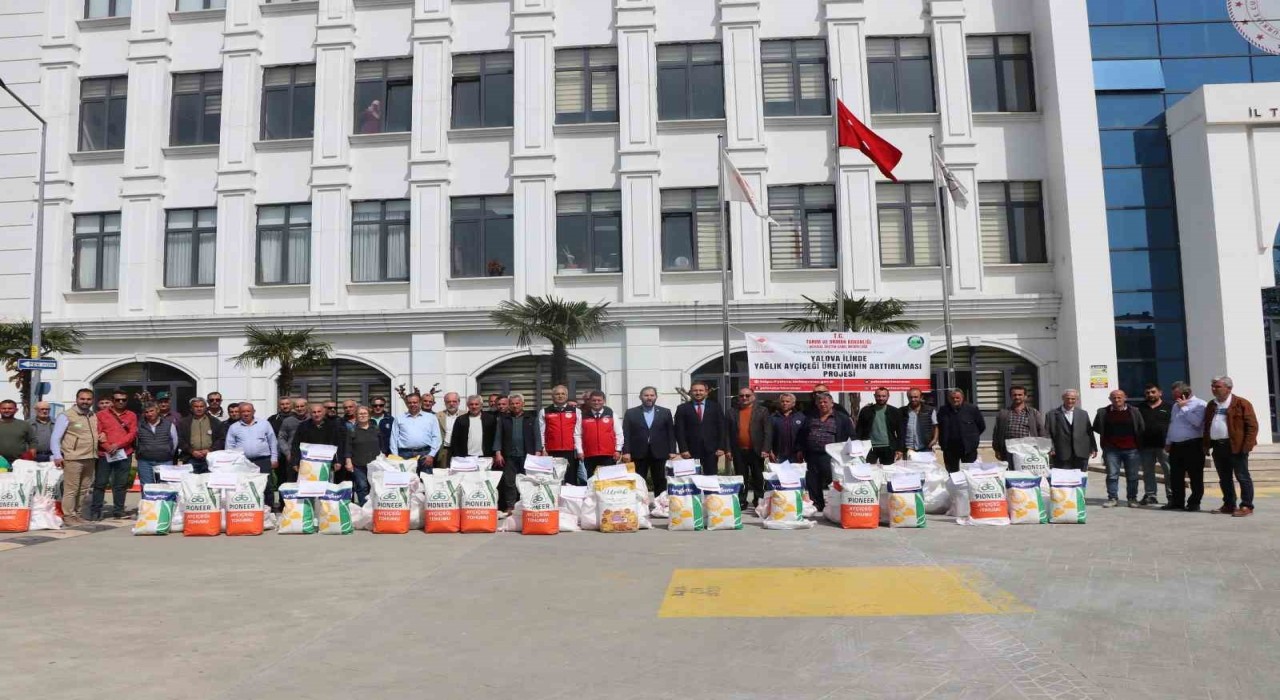 Yalovada çiftçiye 1 ton 890 kilo ayçiçeği tohumu dağıtıldı
