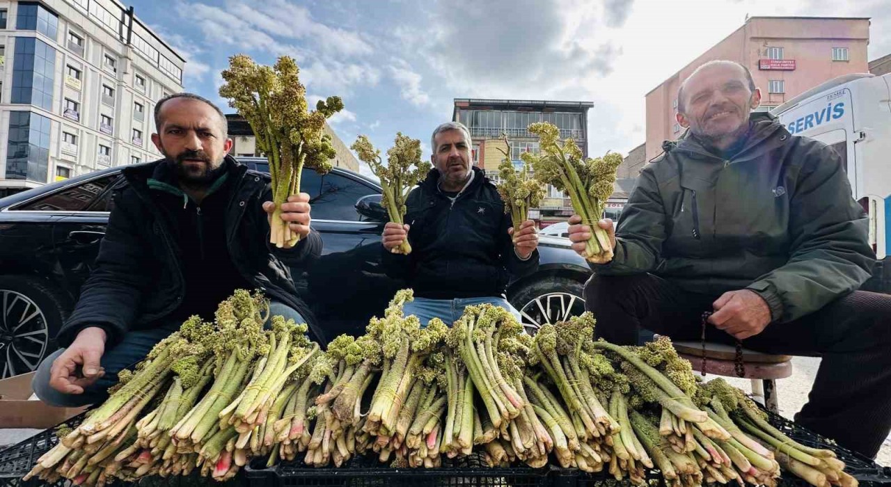 Yayla muzunun destesi 100 TLden satışa çıkarıldı