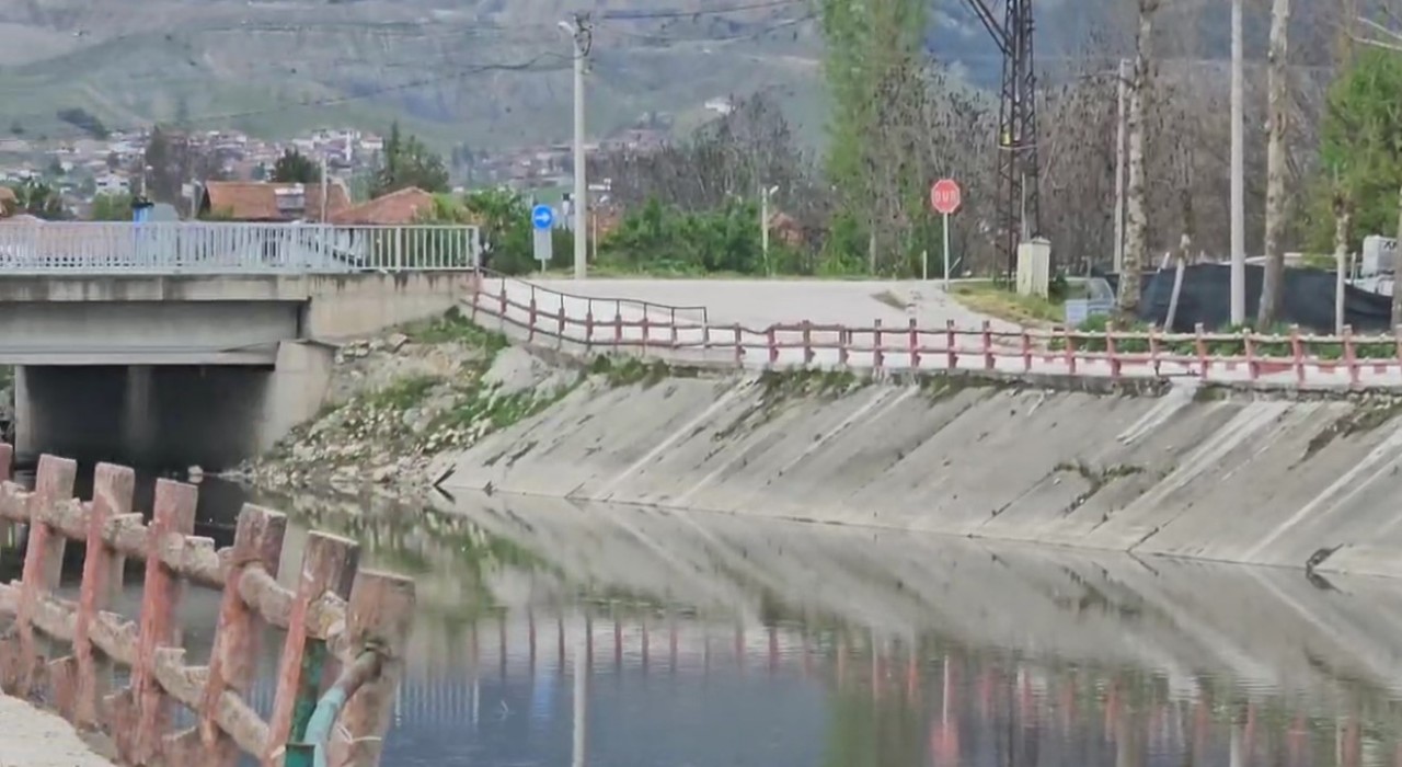 Yeşilırmak Nehrinde balık ölümleri incelemeye alındı