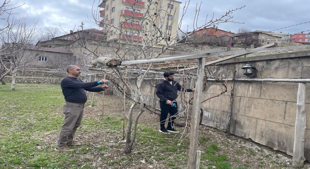 Yüksekovada ağaçlar budandı, uygulamalı eğitim verildi