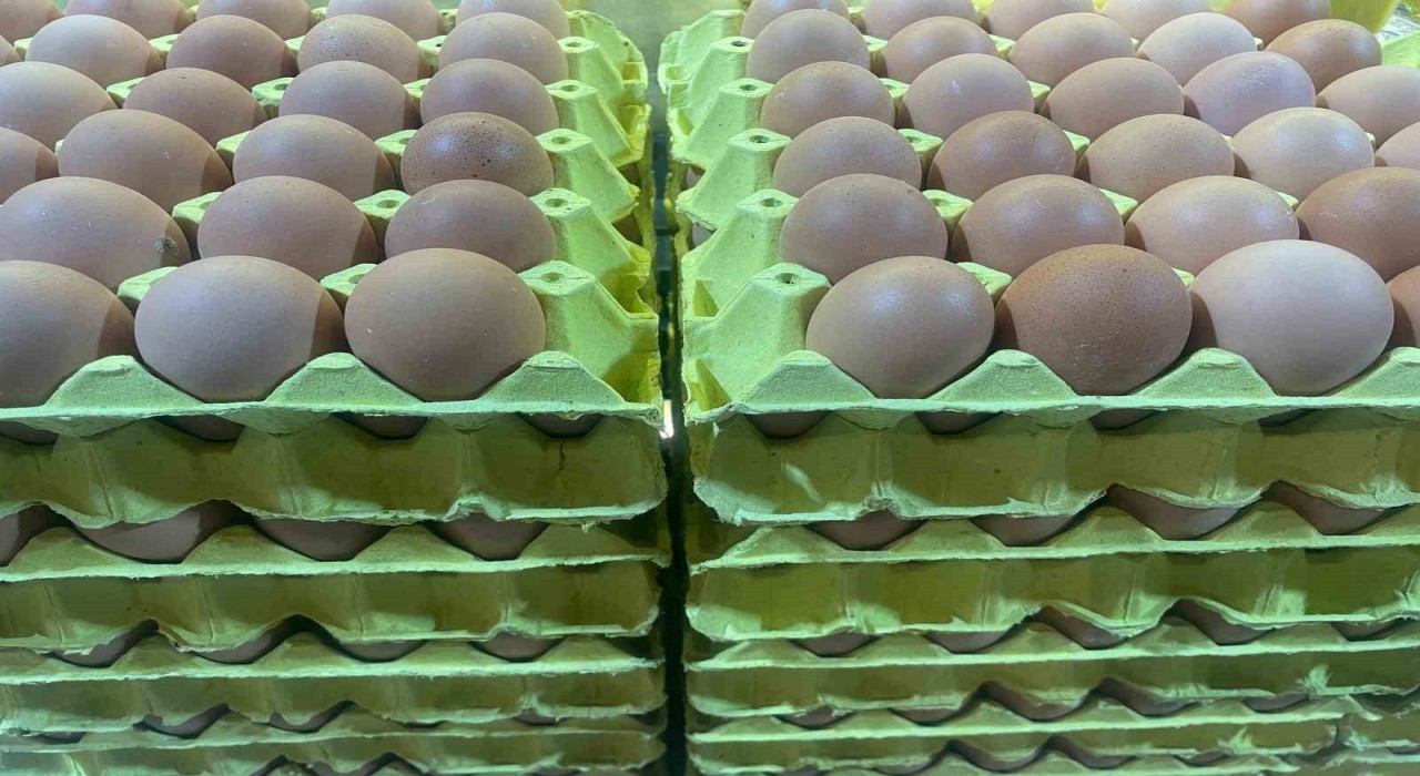 Yumurta fiyatları mayıs çukuru yaklaşınca düşüşe geçti