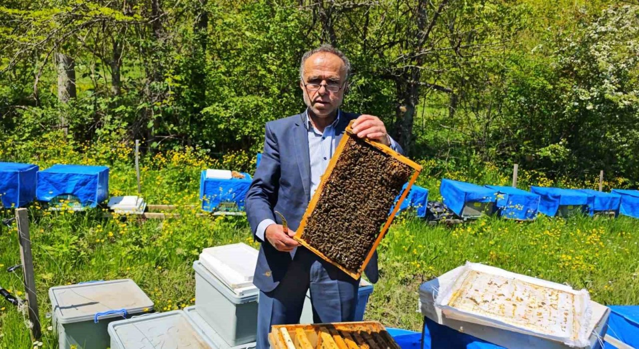 Zirai don Artvinde arıcılığı vurdu, bu sezon bal üretiminde yüzde 60a varan kayıp bekleniyor