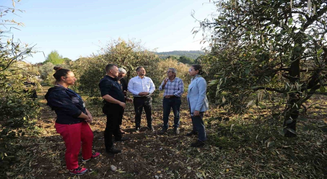 Zirai don zararını azaltmak için narenciye üreticilerine gübre dağıtıldı