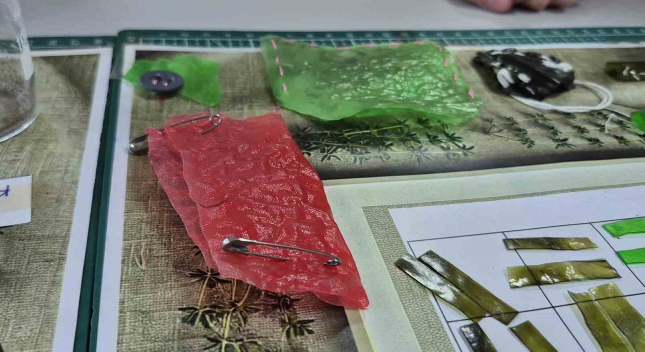 10 yaşındaki Ravzadan kekik özlü biyokumaş