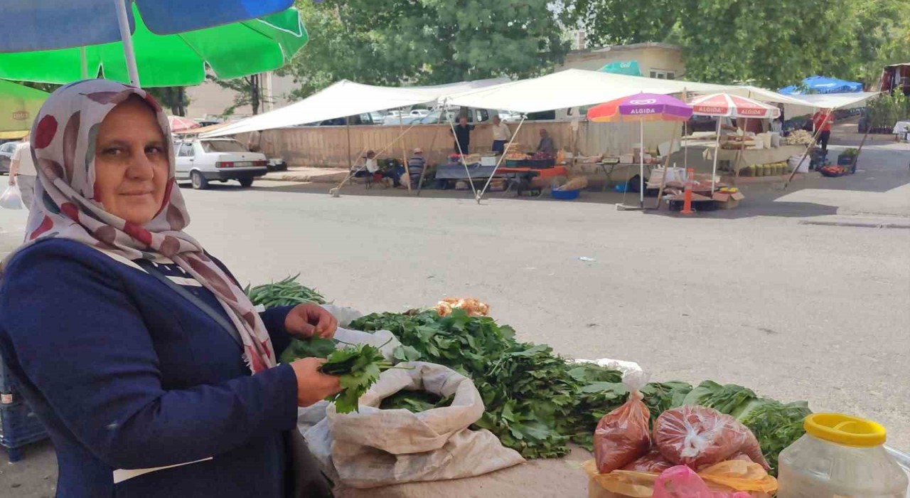 5 çocuk annesi, asma yaprağı satarak aile ekonomisine destek oluyor