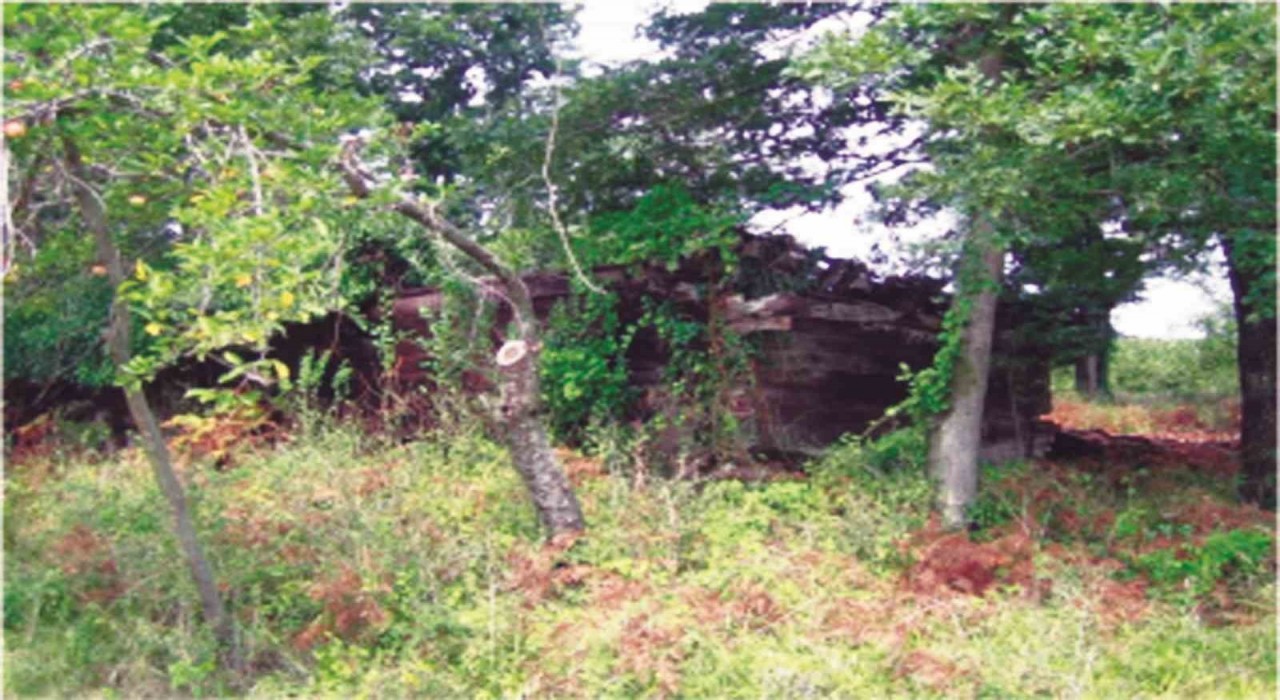 700 yıllık tarihi miras yeniden hayat buluyor