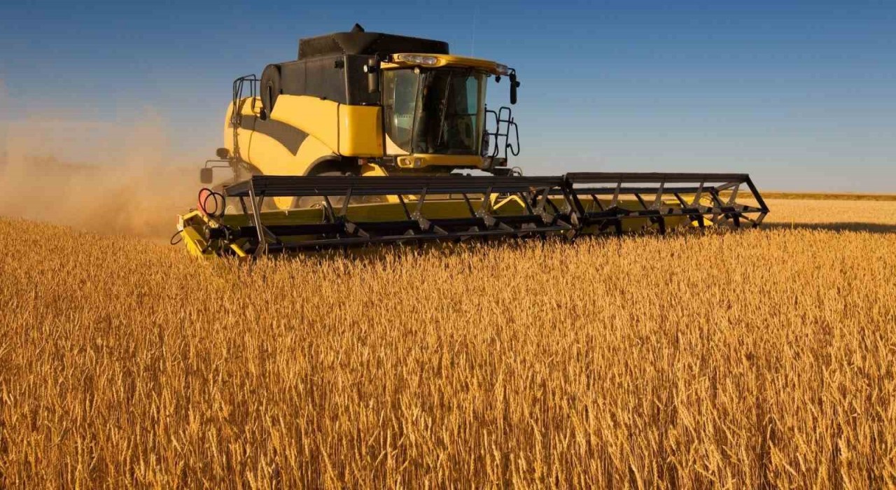 Adana ve Mersinde 2025 yılı buğday biçim ücretleri belirlendi