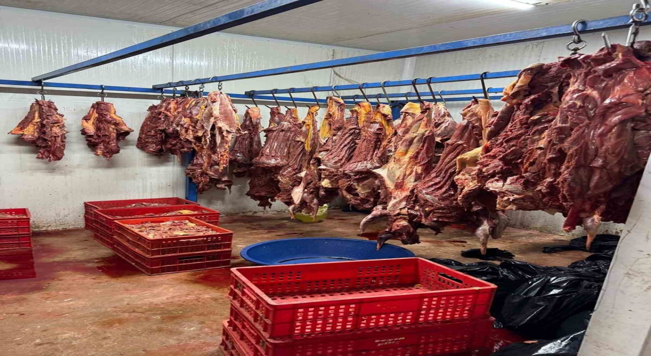 Adanada 3 ton bozulmuş at eti ele geçirildi