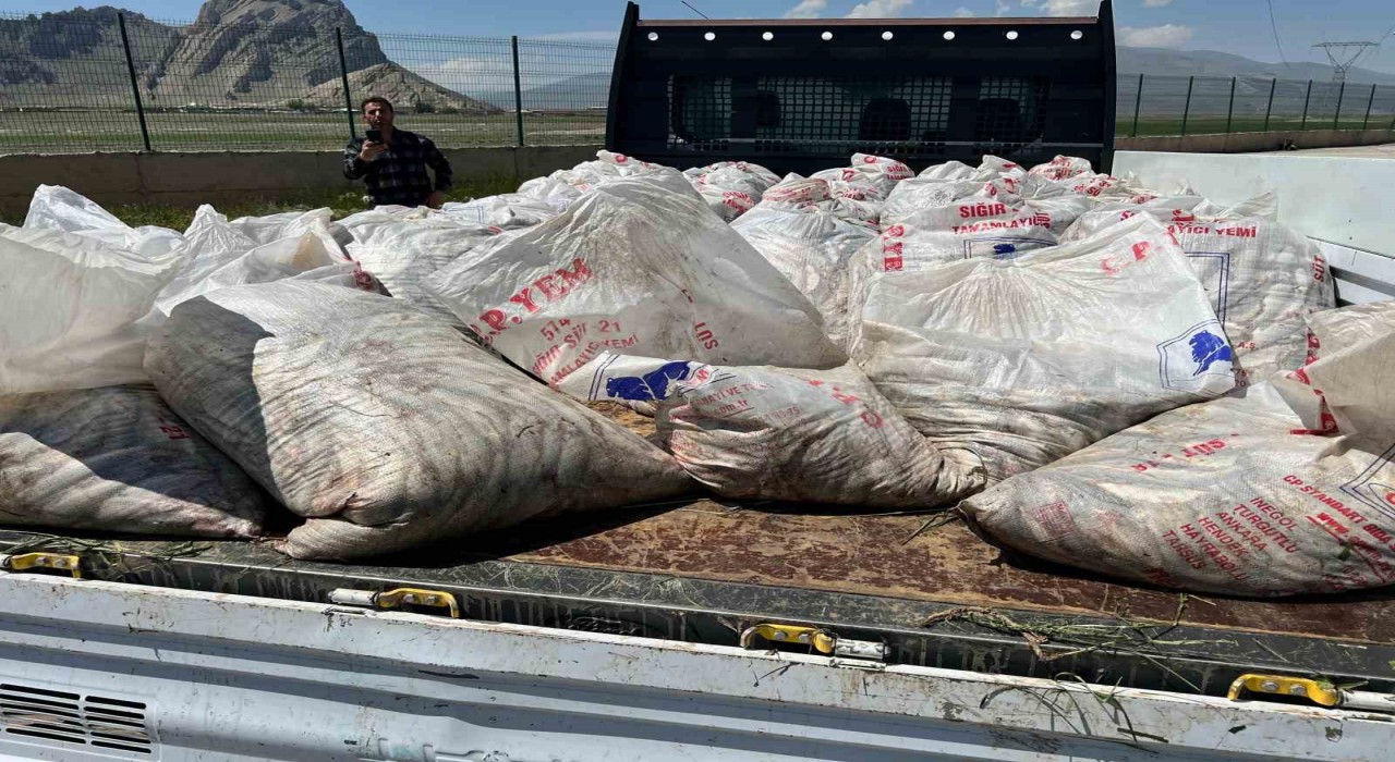Ağrıda 2 ton kaçak inci kefali ele geçirildi