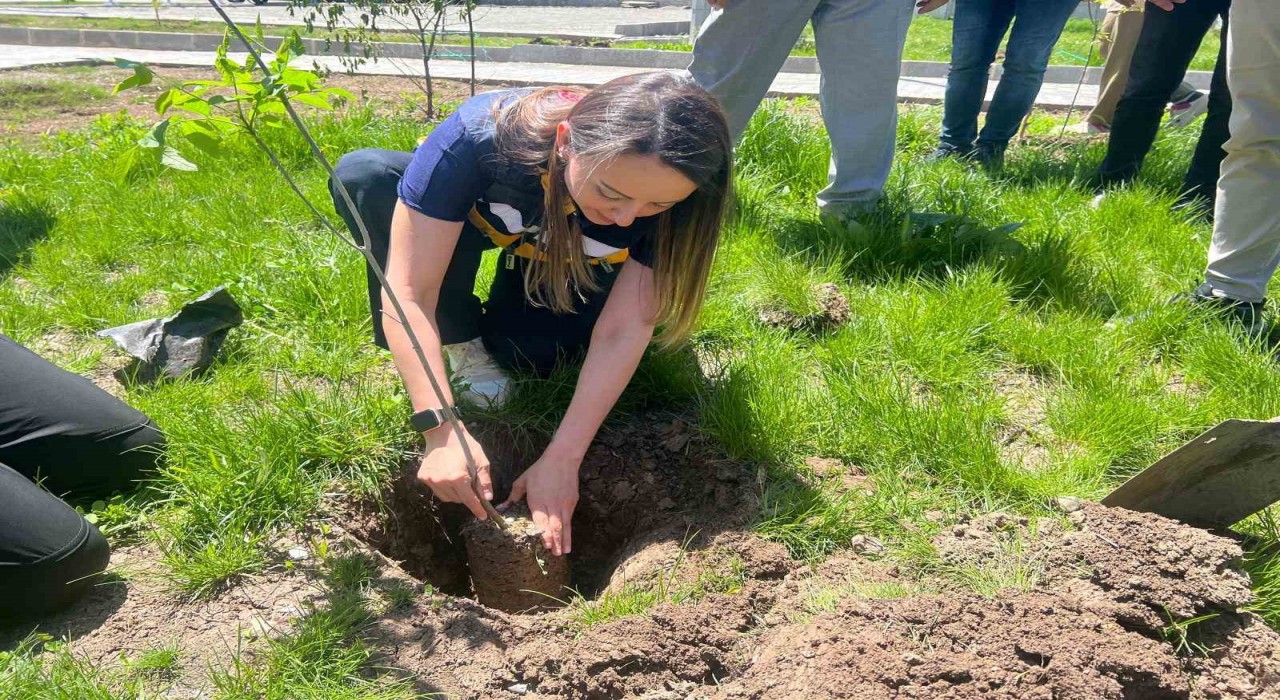 Ağrıda Cilt Kanseri Farkındalık Ayı kapsamında fidan dikimi etkinliği düzenlendi
