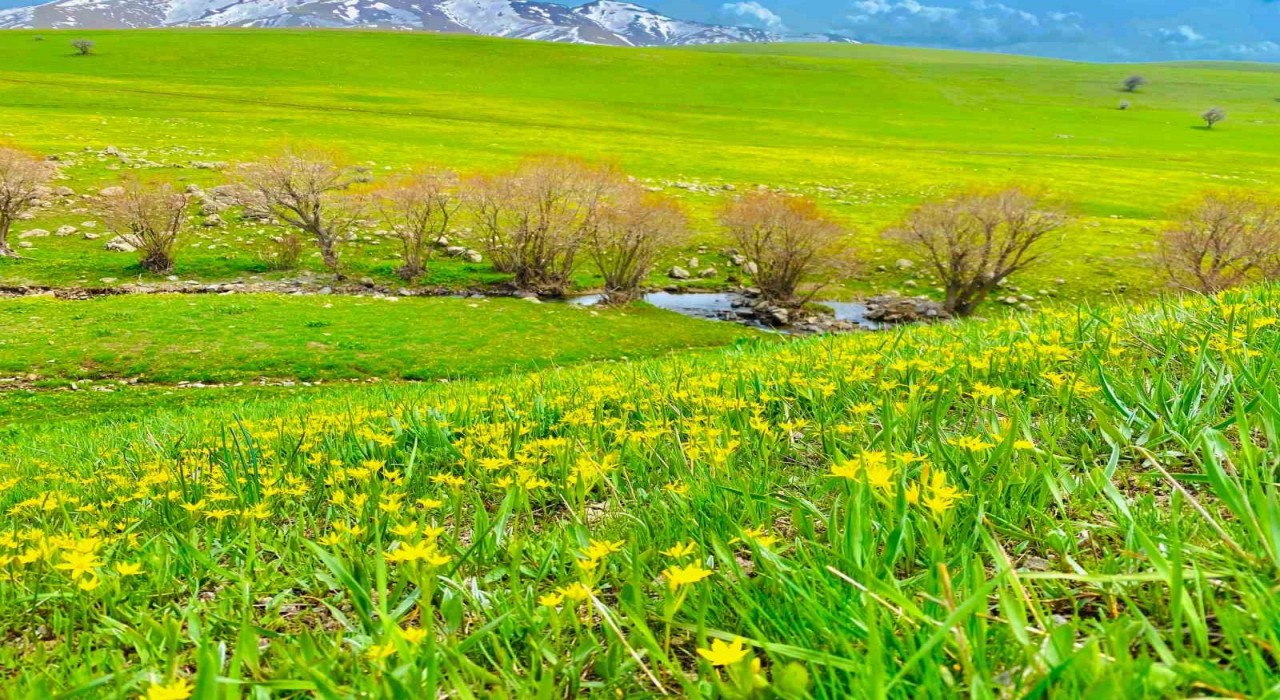 Ağrıda doğanın renk cümbüşü göz kamaştırıyor